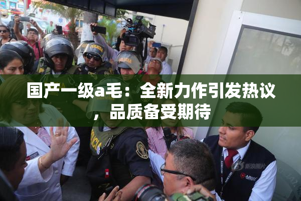 国产一级a毛：全新力作引发热议，品质备受期待