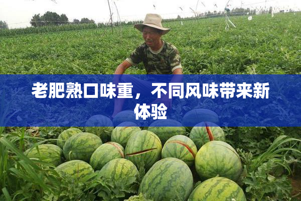 老肥熟口味重，不同风味带来新体验