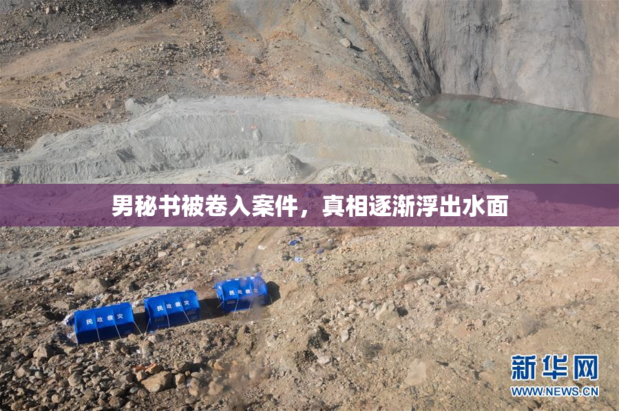 男秘书被卷入案件，真相逐渐浮出水面