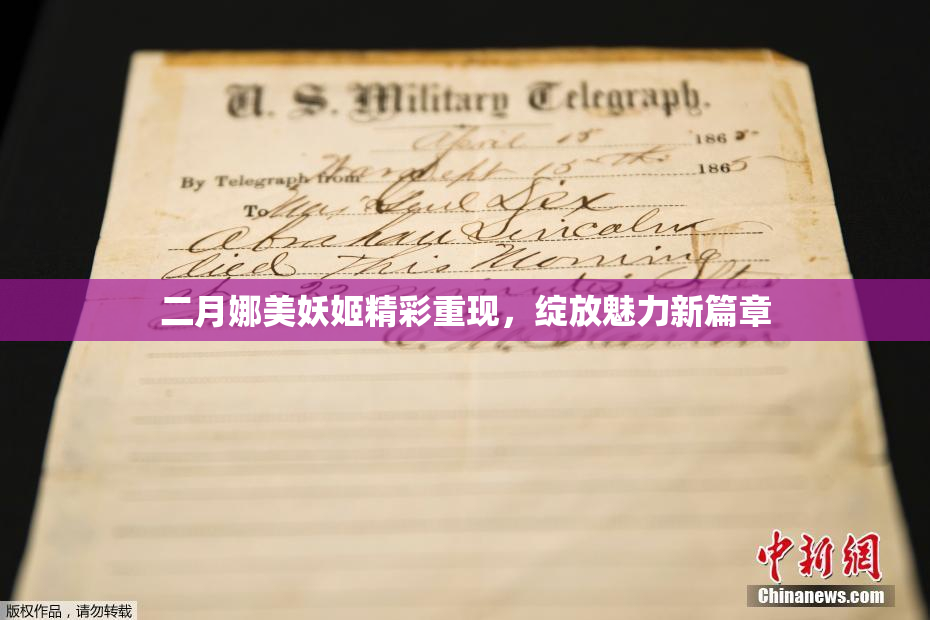 二月娜美妖姬精彩重现，绽放魅力新篇章