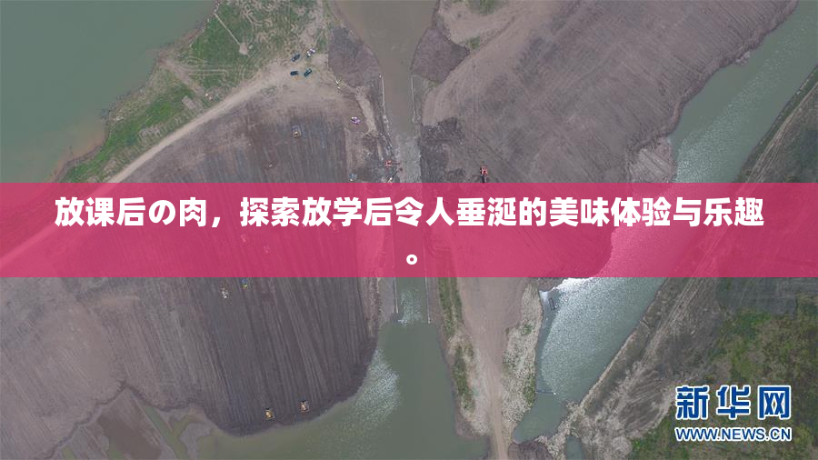 放课后の肉，探索放学后令人垂涎的美味体验与乐趣。
