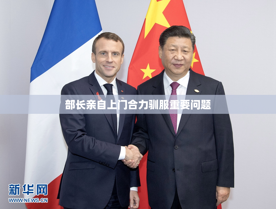 部长亲自上门合力驯服重要问题