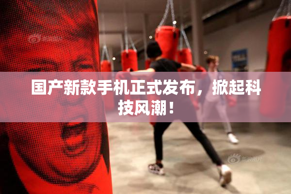 国产新款手机正式发布，掀起科技风潮！