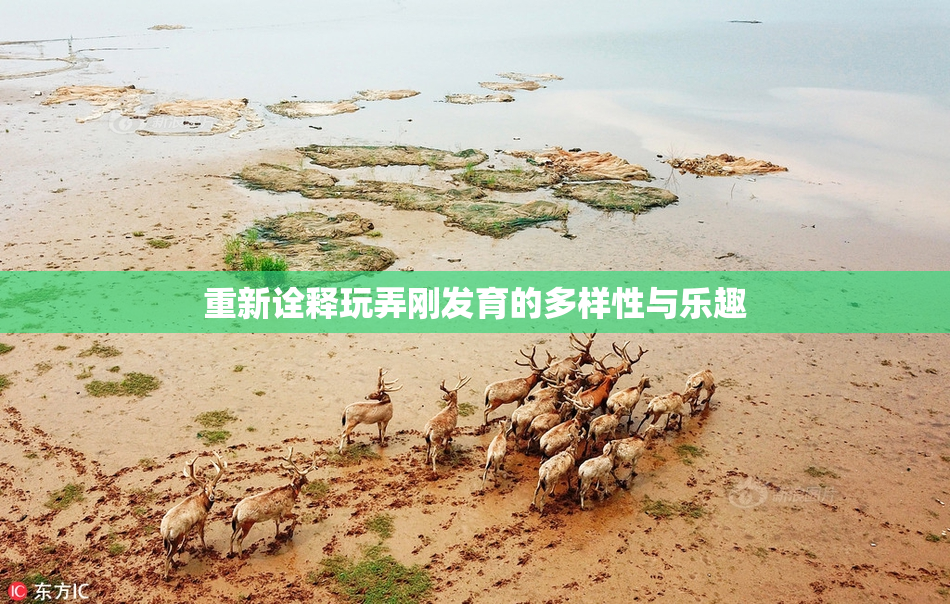 重新诠释玩弄刚发育的多样性与乐趣