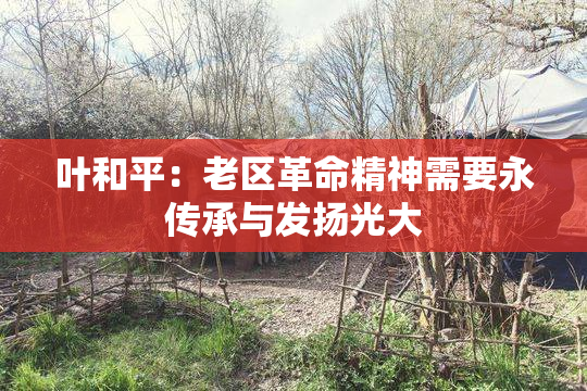 叶和平：老区革命精神需要永传承与发扬光大