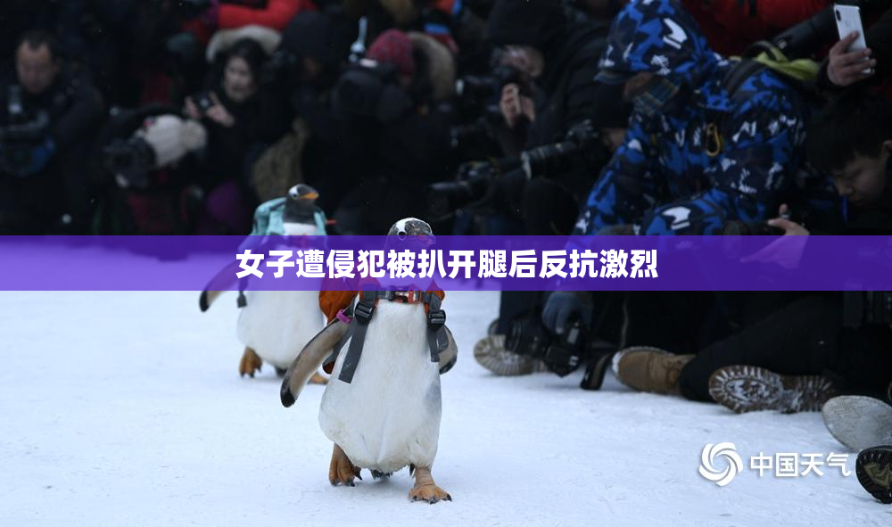 女子遭侵犯被扒开腿后反抗激烈