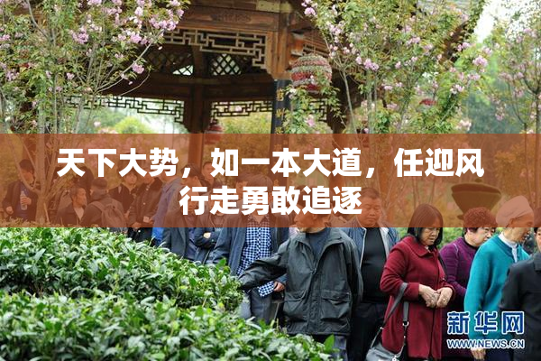 天下大势，如一本大道，任迎风行走勇敢追逐