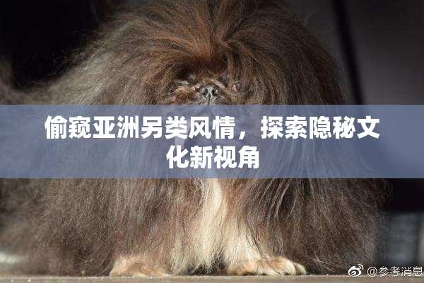 偷窥亚洲另类风情，探索隐秘文化新视角