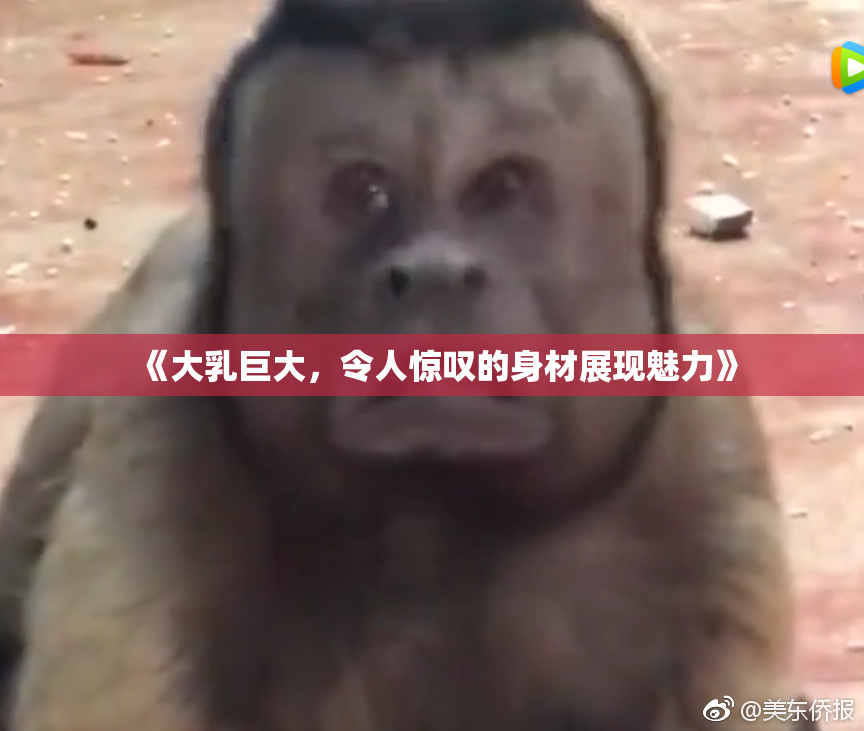 《大乳巨大，令人惊叹的身材展现魅力》