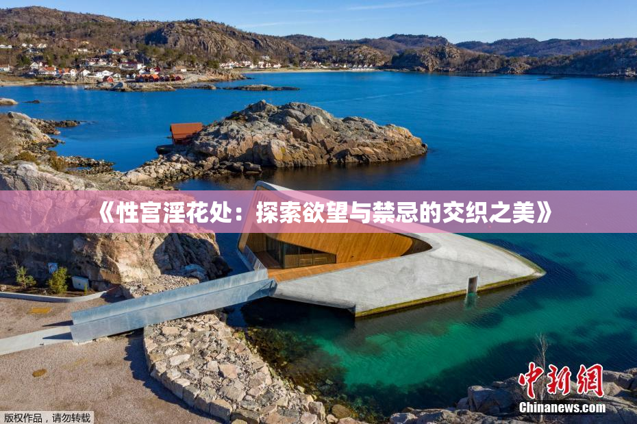 《性宫淫花处：探索欲望与禁忌的交织之美》