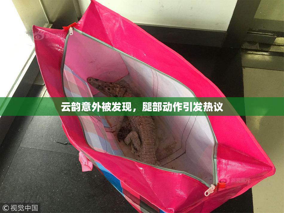 云韵意外被发现，腿部动作引发热议