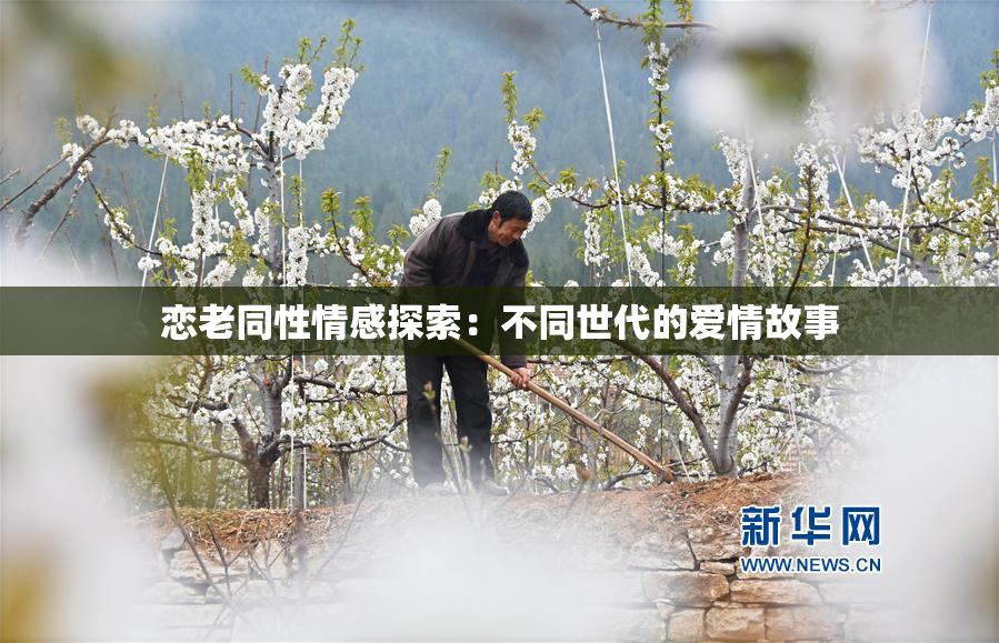 恋老同性情感探索：不同世代的爱情故事