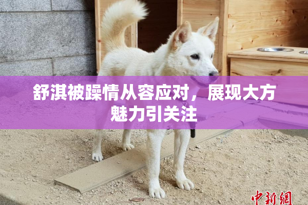 舒淇被躁情从容应对，展现大方魅力引关注