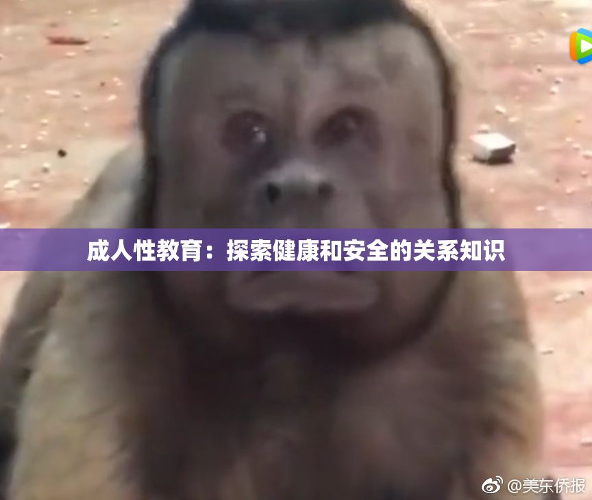 成人性教育：探索健康和安全的关系知识