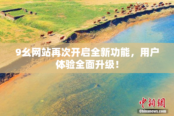 9幺网站再次开启全新功能，用户体验全面升级！
