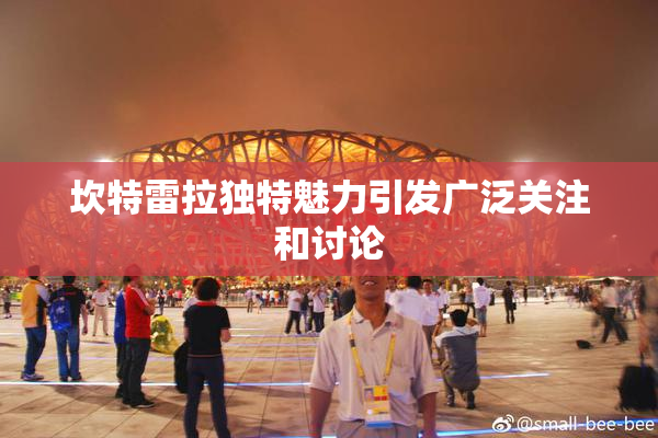 坎特雷拉独特魅力引发广泛关注和讨论