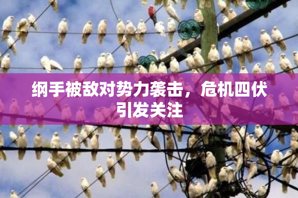 纲手被敌对势力袭击，危机四伏引发关注