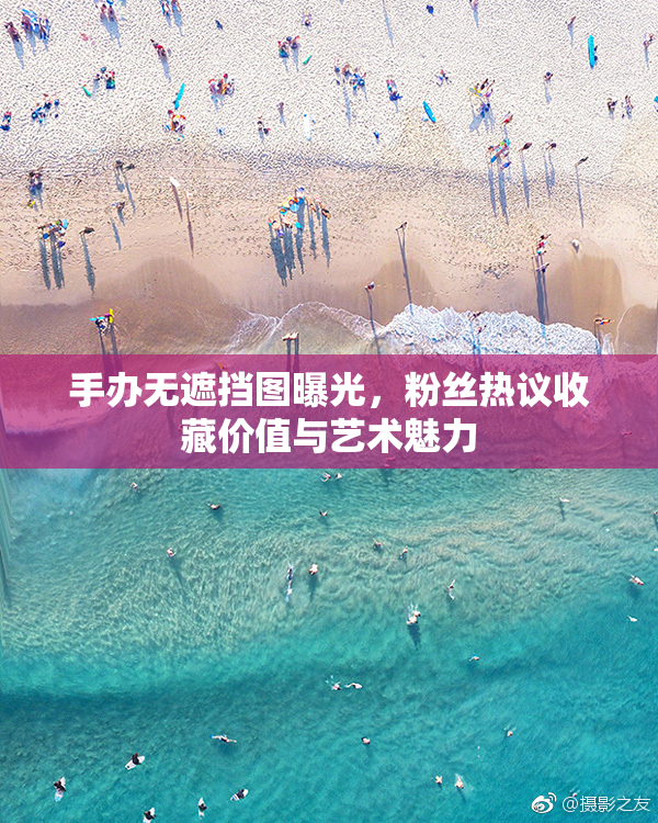 手办无遮挡图曝光，粉丝热议收藏价值与艺术魅力