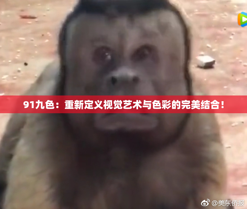 91九色：重新定义视觉艺术与色彩的完美结合！