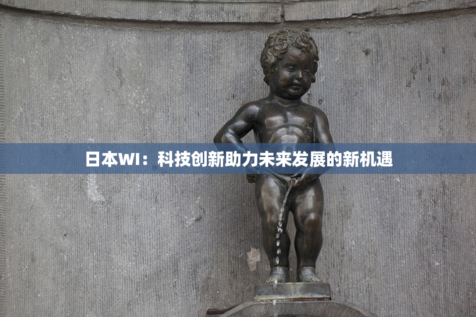 日本WI：科技创新助力未来发展的新机遇