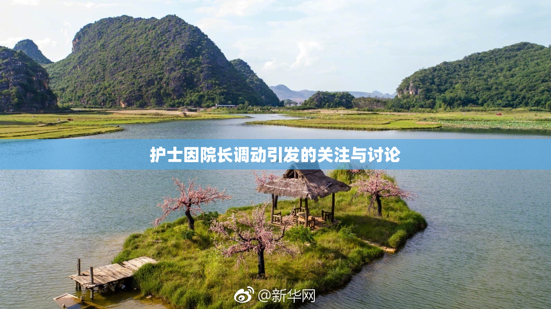 护士因院长调动引发的关注与讨论