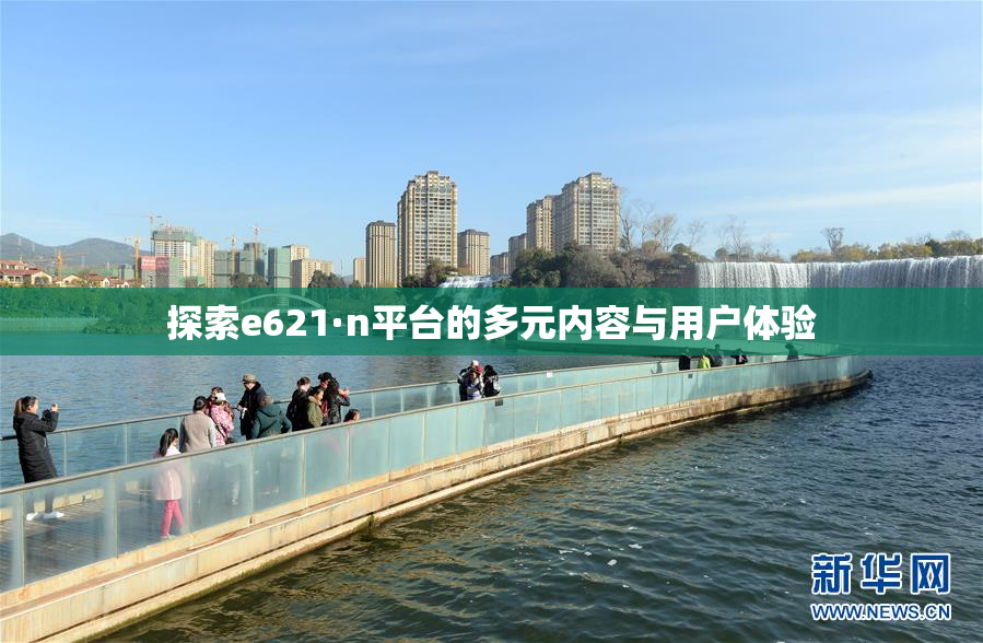 探索e621·n平台的多元内容与用户体验