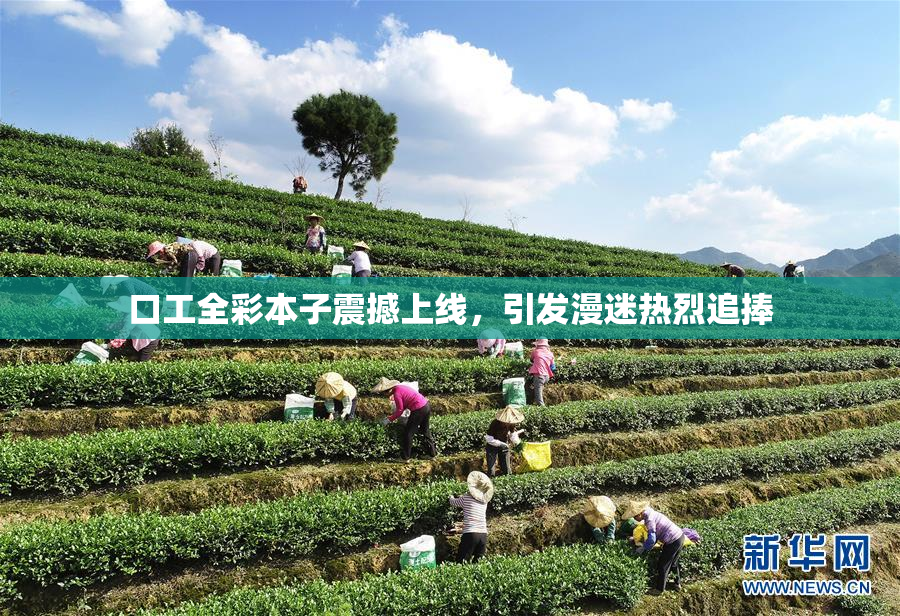 口工全彩本子震撼上线，引发漫迷热烈追捧