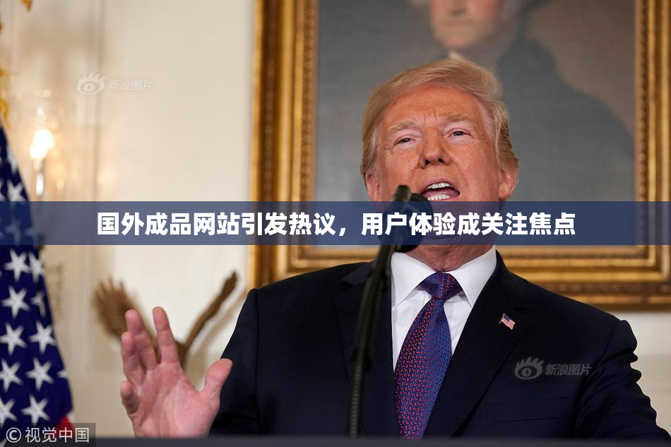 国外成品网站引发热议，用户体验成关注焦点