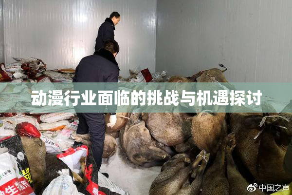 动漫行业面临的挑战与机遇探讨