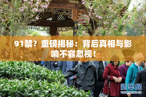 91禁？重磅揭秘：背后真相与影响不容忽视！