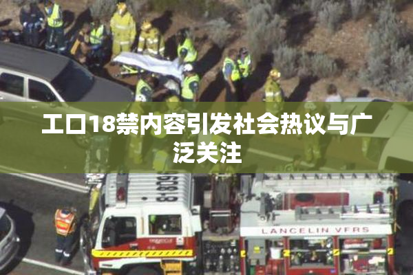 工口18禁内容引发社会热议与广泛关注