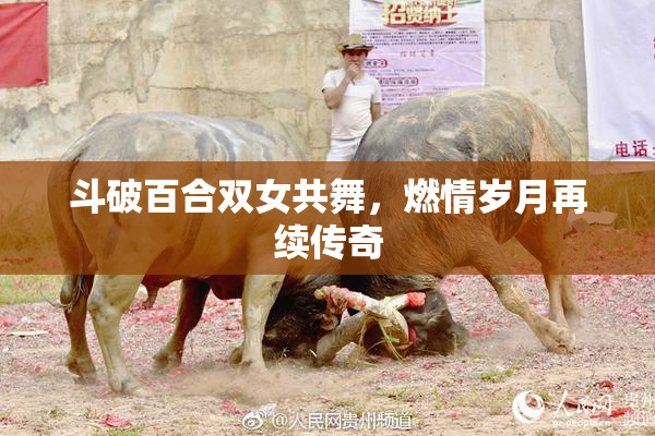 斗破百合双女共舞，燃情岁月再续传奇