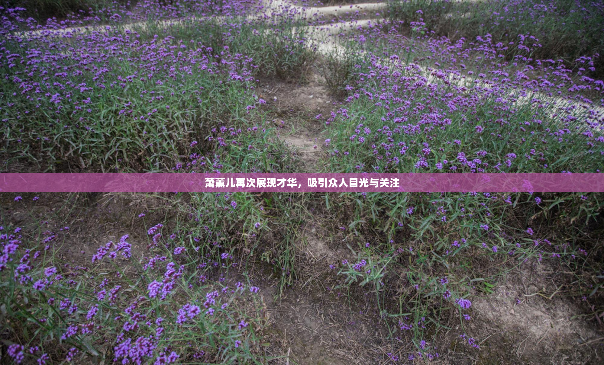 萧薰儿再次展现才华，吸引众人目光与关注