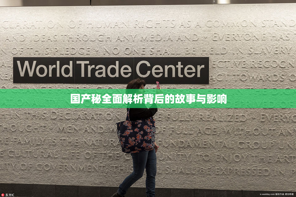 国产秘全面解析背后的故事与影响
