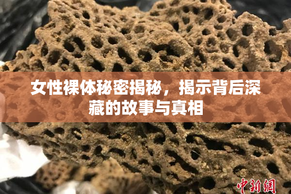 女性裸体秘密揭秘，揭示背后深藏的故事与真相