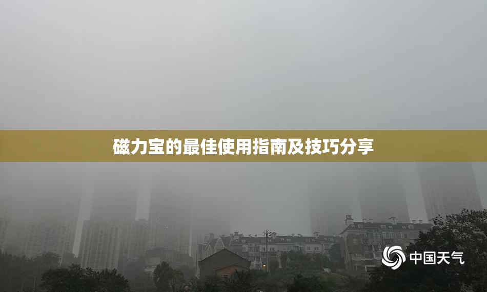 磁力宝的最佳使用指南及技巧分享