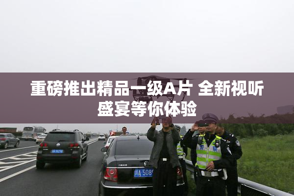重磅推出精品一级A片 全新视听盛宴等你体验
