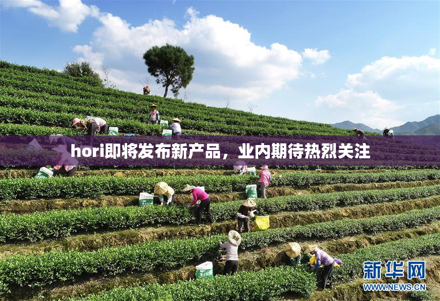 hori即将发布新产品，业内期待热烈关注