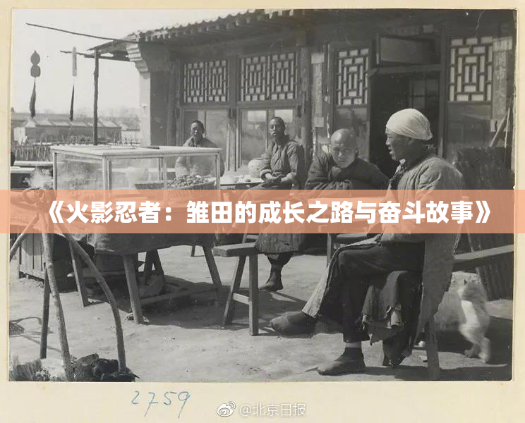 《火影忍者：雏田的成长之路与奋斗故事》