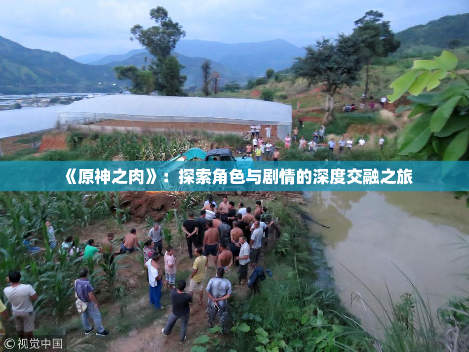 《原神之肉》：探索角色与剧情的深度交融之旅