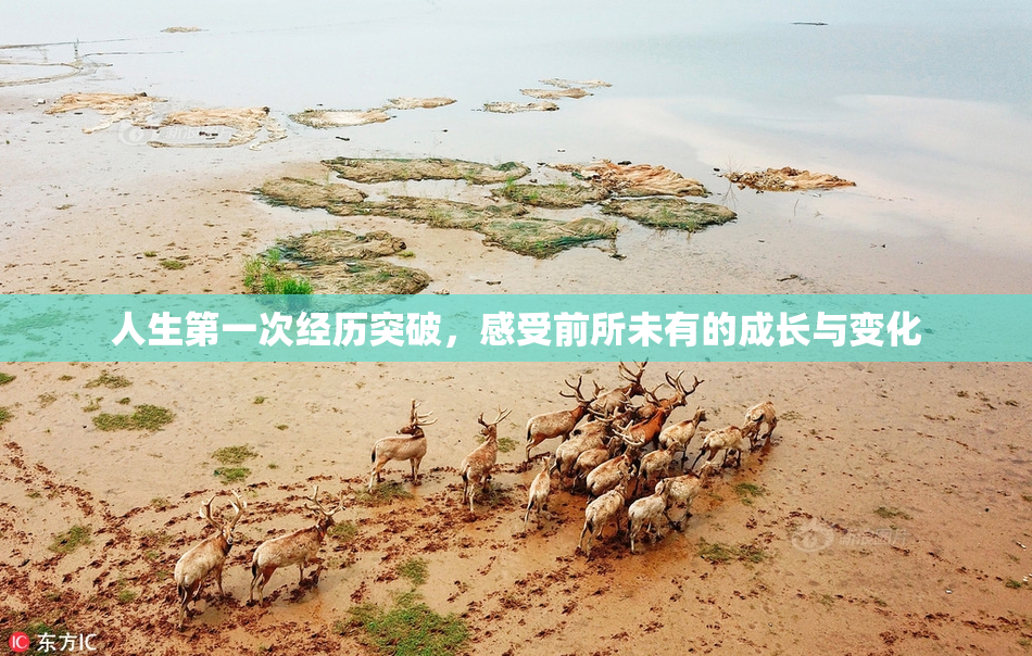 人生第一次经历突破，感受前所未有的成长与变化
