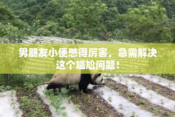 男朋友小便憋得厉害，急需解决这个尴尬问题！