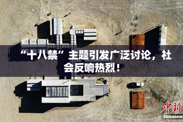 “十八禁”主题引发广泛讨论，社会反响热烈！
