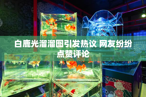 白鹿光溜溜图引发热议 网友纷纷点赞评论