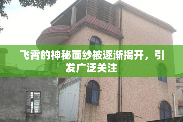 飞霄的神秘面纱被逐渐揭开，引发广泛关注