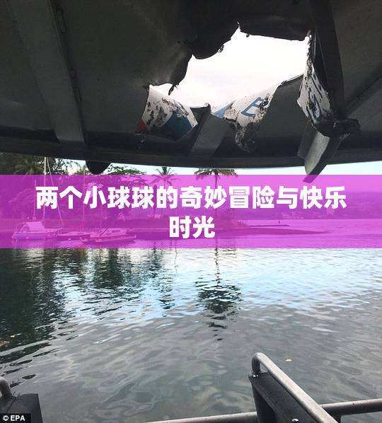 两个小球球的奇妙冒险与快乐时光