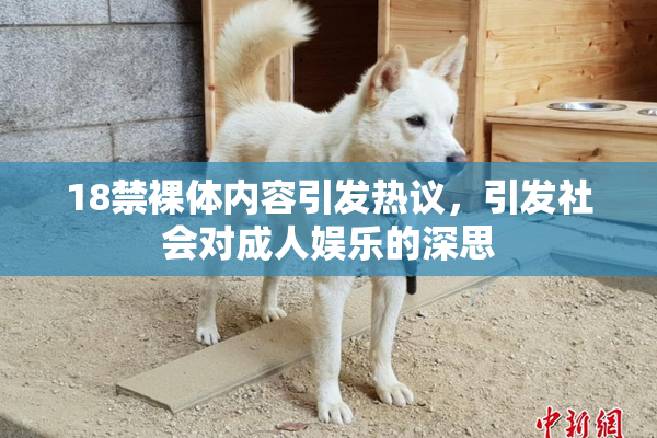 18禁裸体内容引发热议，引发社会对成人娱乐的深思