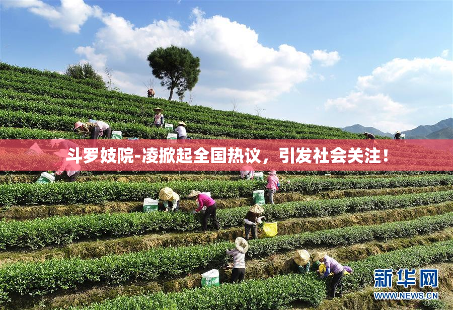 斗罗妓院-凌掀起全国热议，引发社会关注！