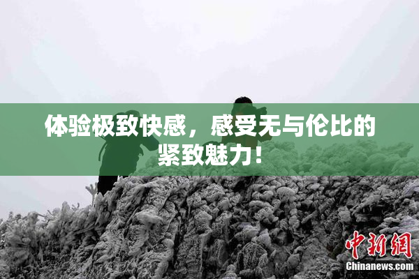 体验极致快感，感受无与伦比的紧致魅力！