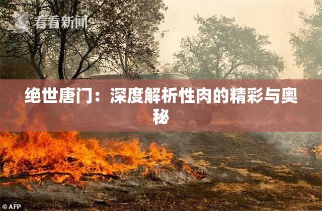 绝世唐门：深度解析性肉的精彩与奥秘